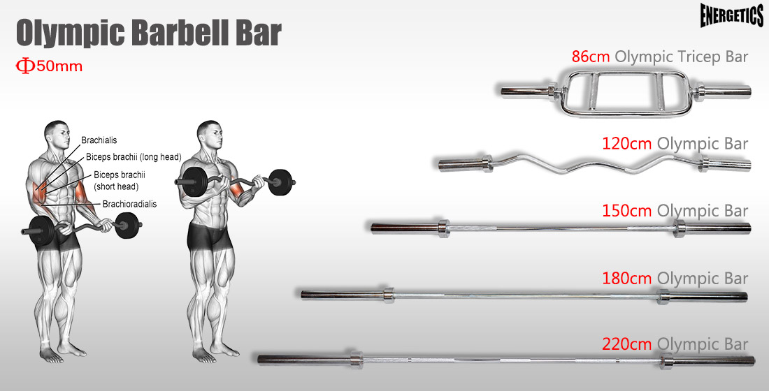 Olympic Weight Barbell Bar Dumbell Bar Tricep Bar Ez Curl Bar